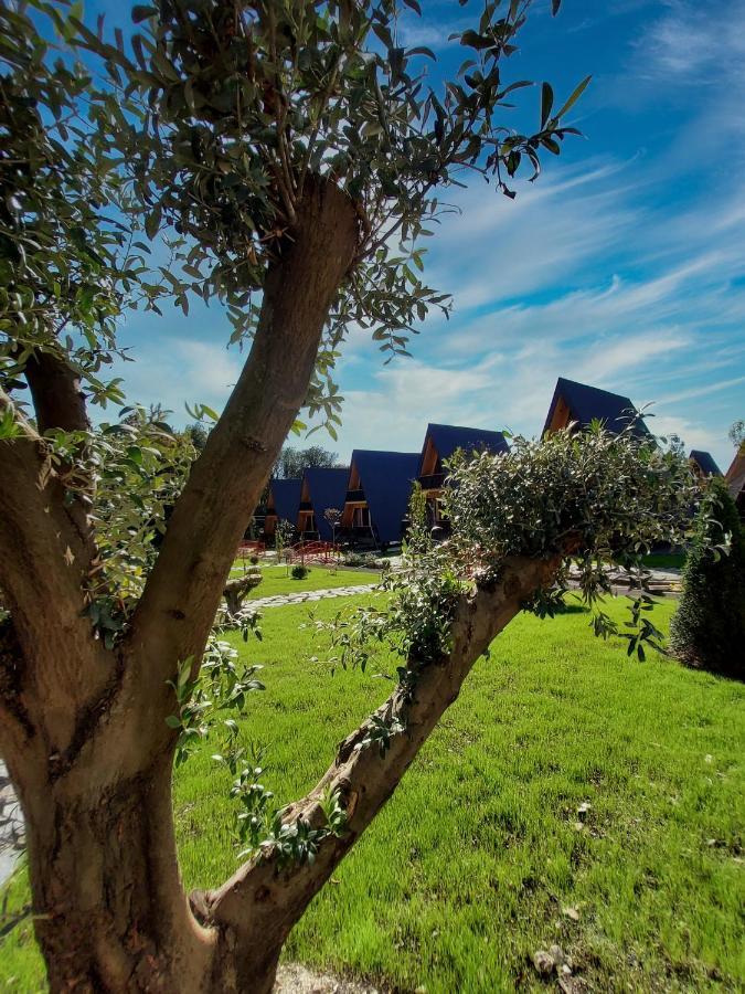 Reserve Resort Лагодехи Экстерьер фото
